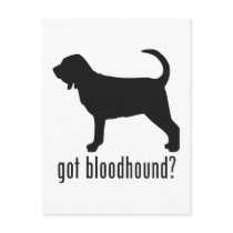 Bloodhound Postcards