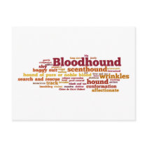 Bloodhound