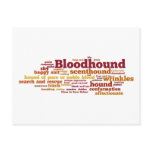 Bloodhound postcards