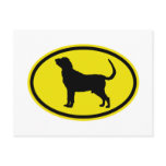 Bloodhound