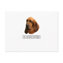 Bloodhound Post Cards