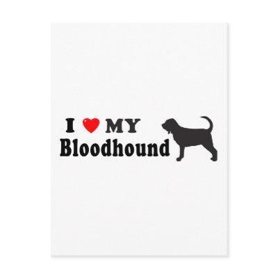 Bloodhound by GenuineDogOwner