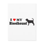 Bloodhound postcards
