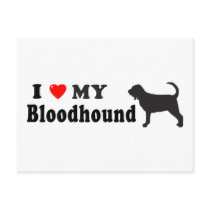 Bloodhound