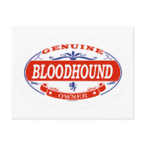 Bloodhound