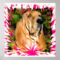 Bloodhound