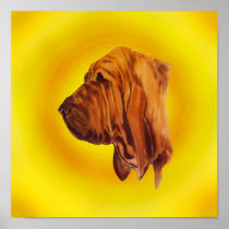 Bloodhound Print