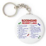 BLOODHOUND Property Laws 2