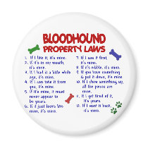 BLOODHOUND Property Laws 2