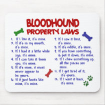 BLOODHOUND Property Laws 2