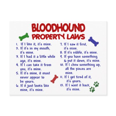 BLOODHOUND Property Laws 2 by poochloverstuff