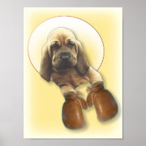 Bloodhound Puppy Boxer