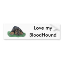 bloodhound puppy bumper sticker