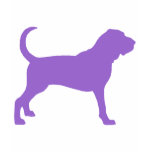 Bloodhound (purple) t-shirts