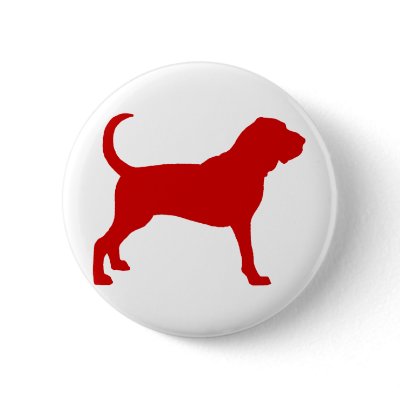 Bloodhound (red) by dogsandhorses