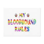 Bloodhound Rules Fun Post Card