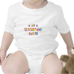Bloodhound Rules Fun Tee Shirts