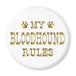 Bloodhound Rules Gold magnets
