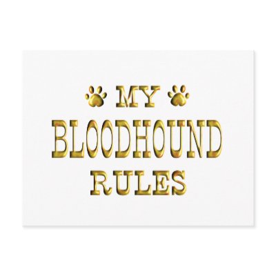 Bloodhound Rules Gold Postcards by mydogrules