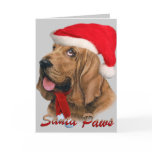 Bloodhound Santa Christmas Cards