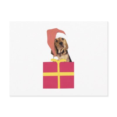 Bloodhound Santa Hat by walkandbark