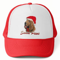 Bloodhound Santa Paws Mesh Hat