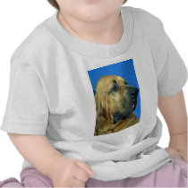 Bloodhound Shirts