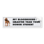 Bloodhound Smarter Than Bumpersticker