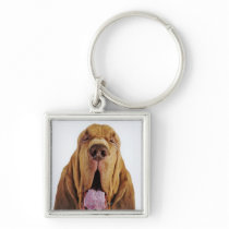 Bloodhound (St. Hubert Hound) with closed eyes, Keychains