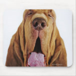 Bloodhound (St. Hubert Hound) with closed eyes, mousepads
