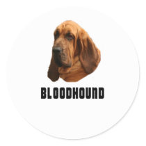 Bloodhound Round Stickers