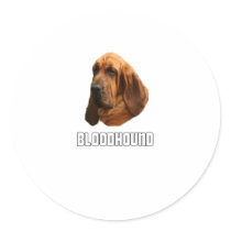 Bloodhound Round Stickers