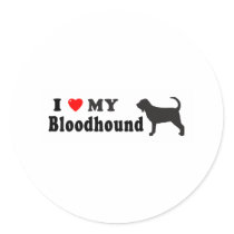 Bloodhound