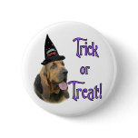 Bloodhound Trick Pin