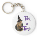 Bloodhound Trick Keychains