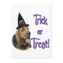 Bloodhound Trick Post Card