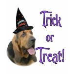 Bloodhound Trick t-shirts