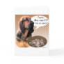 Bloodhound Turkey Cards