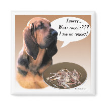 Bloodhound Turkey Magnet