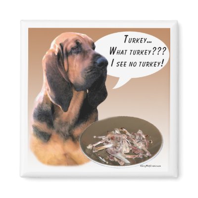 Bloodhound Turkey Magnet by GreyWolfCreation
