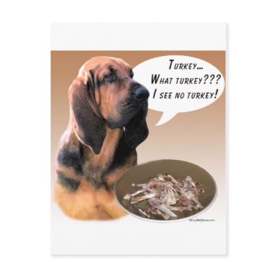 Bloodhound Turkey Post Cards by GreyWolfCreation