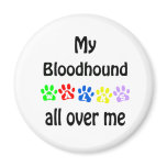Bloodhound Walks Design Fridge Magnets