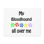 Bloodhound Walks Design Post Cards