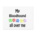Bloodhound Walks Design postcards