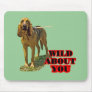 Bloodhound Wild About