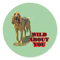 Bloodhound Wild About