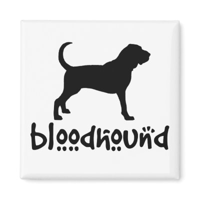 Bloodhound With Cool Text by dogsandhorses