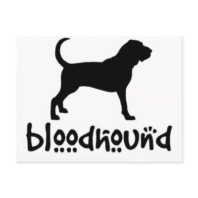 Bloodhound With Cool Text by dogsandhorses
