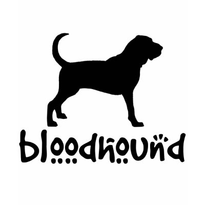 Bloodhound With Cool Text Tshirt by dogsandhorses