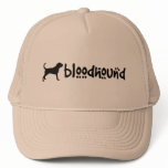 Bloodhound With Cool Text (wide)